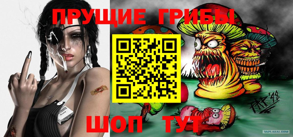 Псилоцибиновые грибы Magic Shrooms  Вход с VPN  Электрогорск 