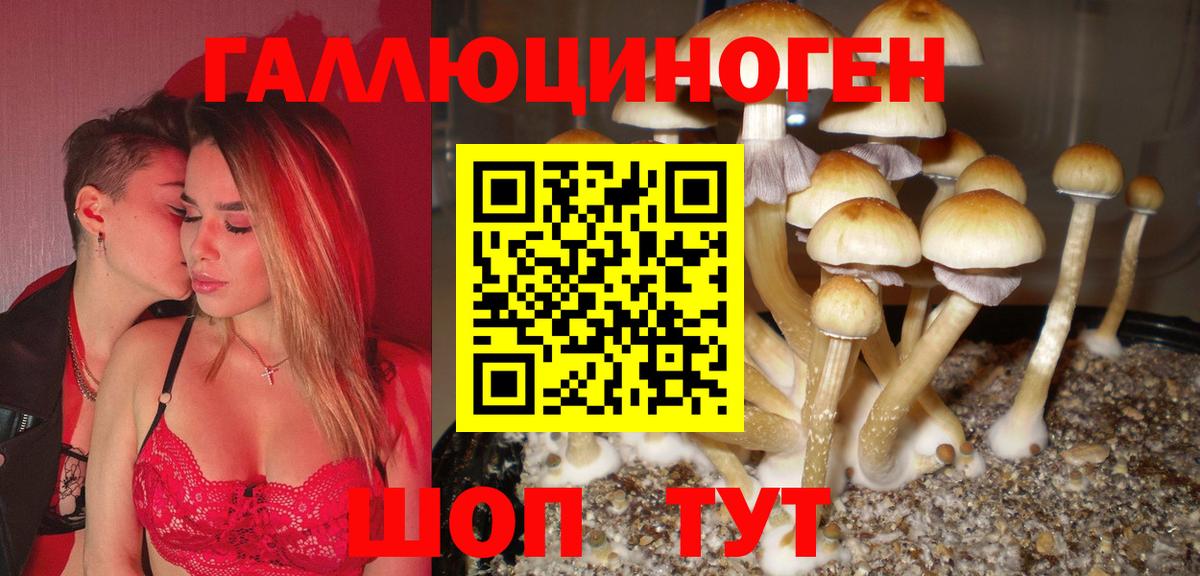 Галлюциногенные грибы мухоморы Электрогорск